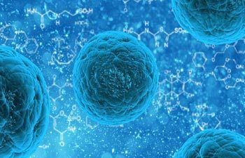 Vijver bacterien